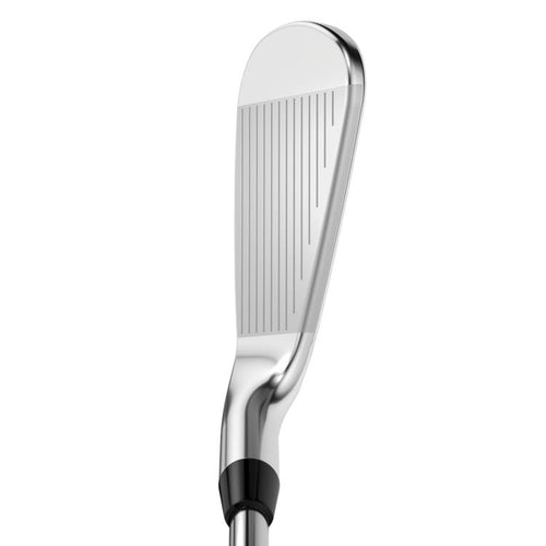 Apex Pro 21 Iron